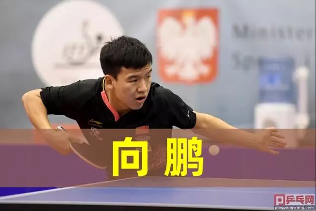 补球队在进 补球队在进