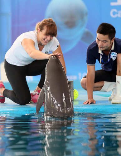 题的答案 题的答案