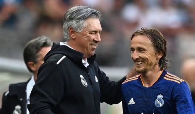 他们将根据 他们将根据